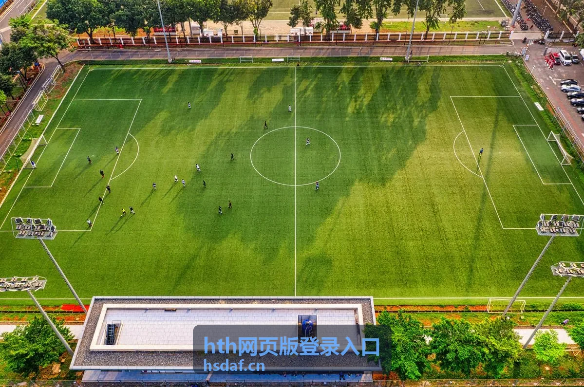 hth网页版登录入口的帮助说明界面截图